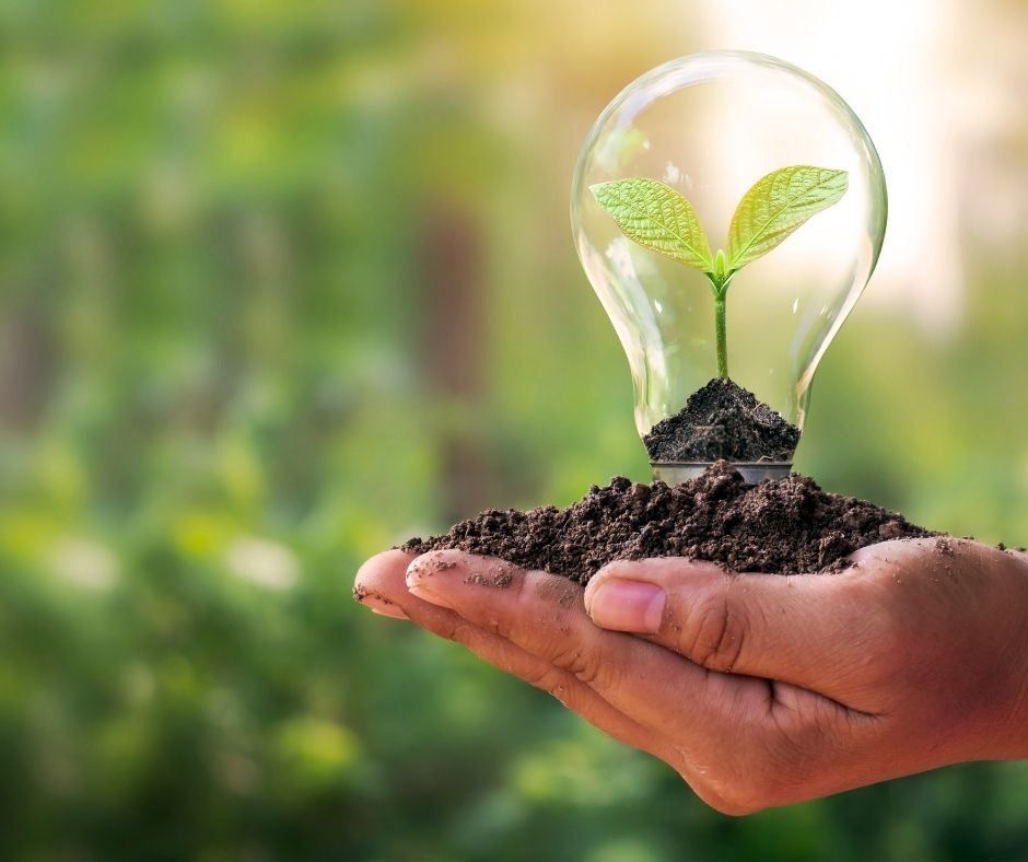 Hand holding a lightbulb with green leaves inside