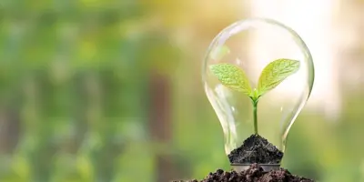 Hand holding a lightbulb with green leaves inside